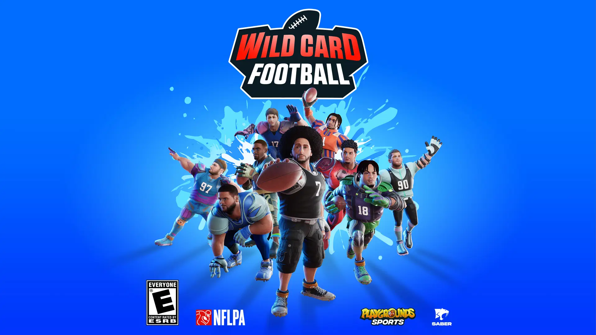 WildCardFootball