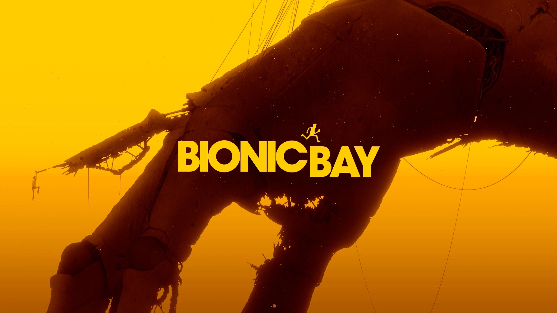 bionicbay